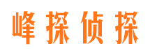 明山市调查公司